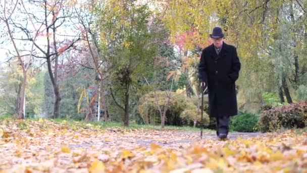 Homme âgé aux cheveux gris marchant dans le parc d'automne, beaucoup de feuilles jaunes sur le trottoir - Séquence, vidéo