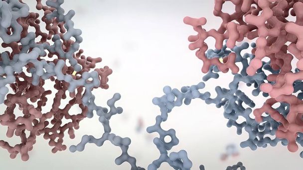 Τα αντισώματα είναι πρωτεΐνες που παράγονται από το ανοσοποιητικό σύστημα για την καταπολέμηση των λοιμώξεων. 3D αποτύπωση - Φωτογραφία, εικόνα