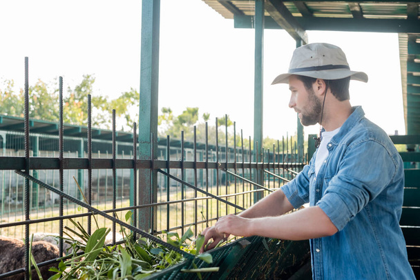 vista laterale di contadino in cappello tesa vicino mangiatoia con vegetazione - Foto, immagini