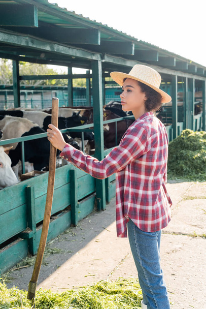 vista lateral de mujer afroamericana en sombrero de paja cerca de vacas en establo - Foto, Imagen