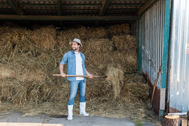 вид на повну довжину щасливого фермера в джинсовому одязі і гумових черевиках біля стовбура сіна
 - Фото, зображення