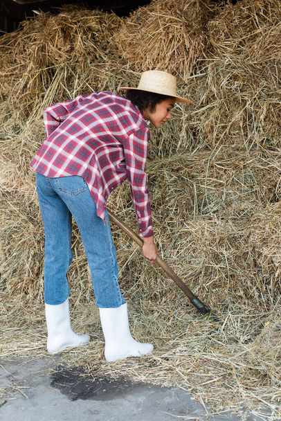 full length view of african american woman in plaid shirt stacking hay on farm - Valokuva, kuva