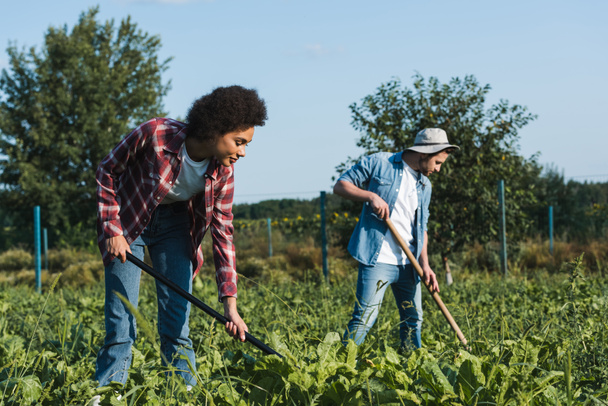 pareja interracial de agricultores cultivando plantas verdes en el campo - Foto, Imagen