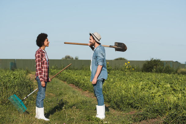 боковой вид счастливых межрасовых фермеров с лопатой и грабли глядя друг на друга на сельхозугодия - Фото, изображение