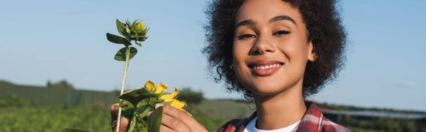 gelukkig Afrikaans amerikaanse boer kijken naar camera in de buurt van zonnebloemen in het veld, banner - Foto, afbeelding