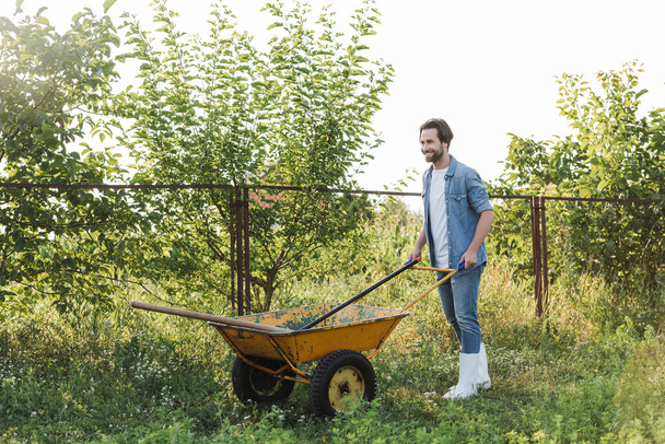full length view of happy farmer with wheelbarrow in green garden - Zdjęcie, obraz