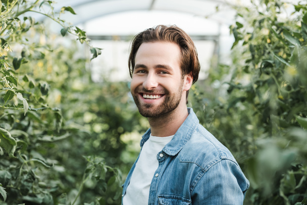 young brunette farmer smiling at camera in greenhouse - Photo, Image
