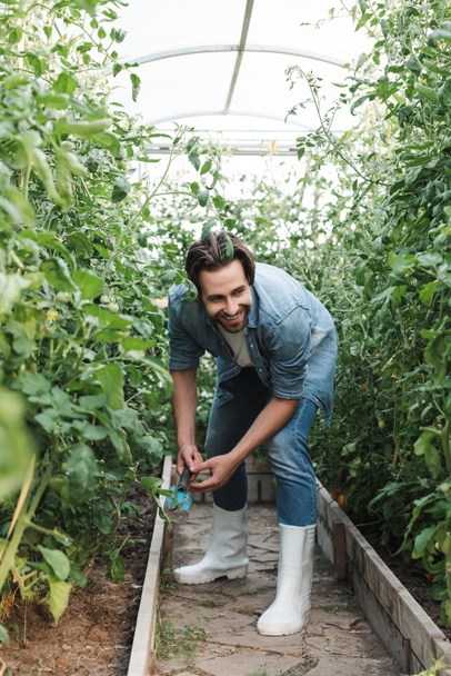 plný pohled na veselého farmáře s kopečkem ve skleníku - Fotografie, Obrázek