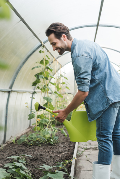 side view of smiling farmer watering garden beds in greenhouse - Photo, Image