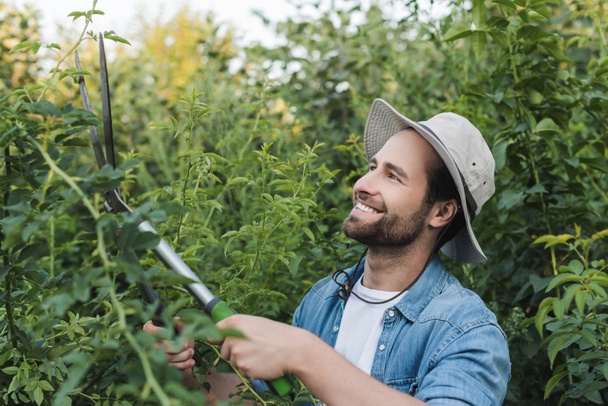 positive gardener in brim hat trimming green bushes with secateurs - Φωτογραφία, εικόνα