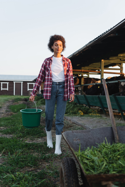 volledige weergave van Afrikaans-Amerikaanse vrouw met emmer in de buurt wazig kruiwagen en cowshed - Foto, afbeelding