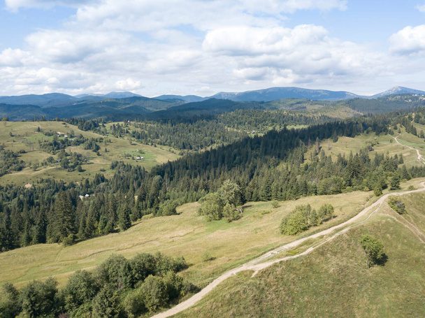 Green mountains of Ukrainian Carpathians in summer. Coniferous trees on the slopes. Aerial drone view. - Фото, изображение