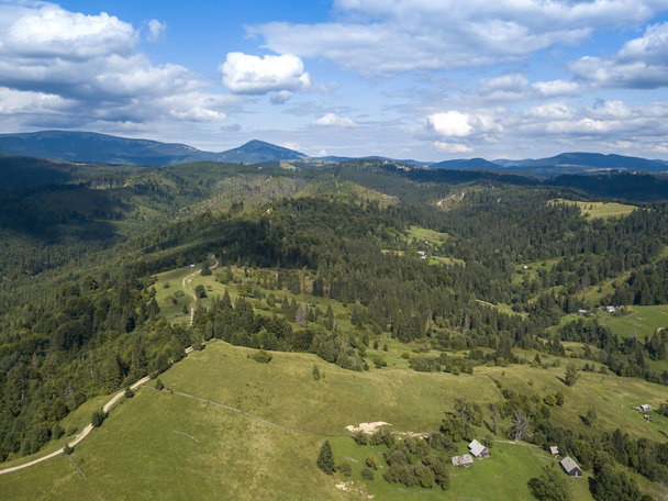 Green mountains of Ukrainian Carpathians in summer. Coniferous trees on the slopes. Aerial drone view. - Фото, изображение