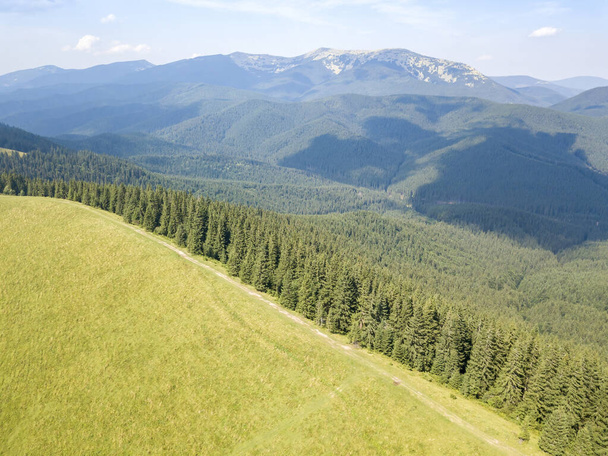 Green mountains of Ukrainian Carpathians in summer. Sunny day, rare clouds. Aerial drone view. - Photo, Image