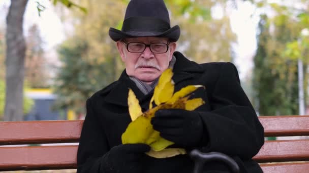 Een oude man zit op een bankje in het park, hij kijkt naar gele bladeren. Levensduur van het pensioen  - Video