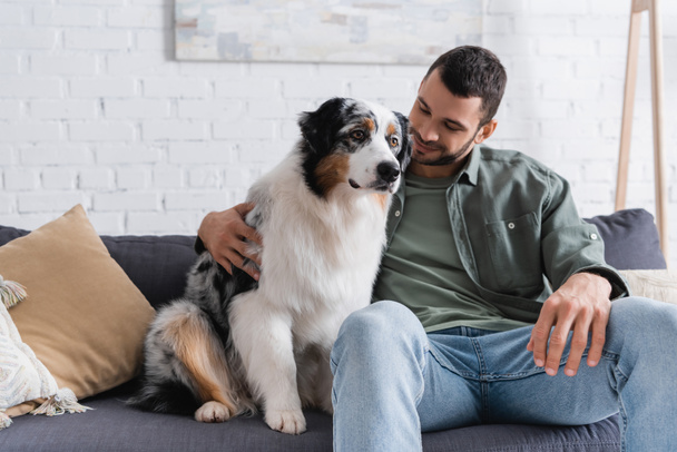 szczęśliwy brodaty mężczyzna przytulanie australijski owczarek pies na kanapie - Zdjęcie, obraz