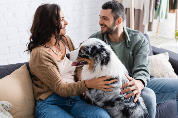 happy young couple cuddling australian shepherd dog and looking at each other at home - Photo, Image