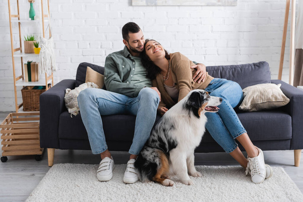 Lächelndes junges Paar knutscht auf Sofa neben australischem Schäferhund im Wohnzimmer - Foto, Bild