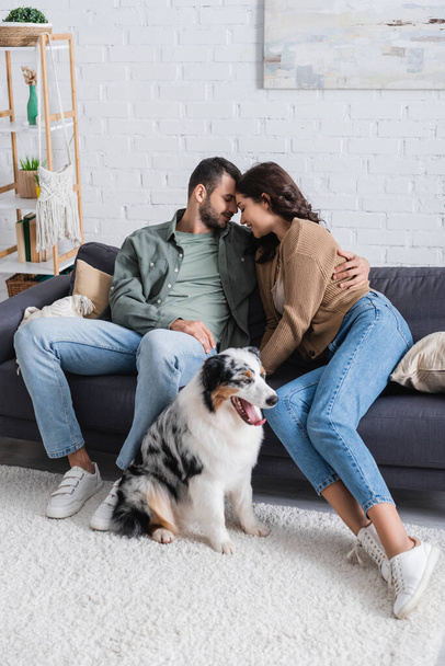 glückliches junges Paar umarmt sich auf Sofa neben australischem Schäferhund im Wohnzimmer - Foto, Bild