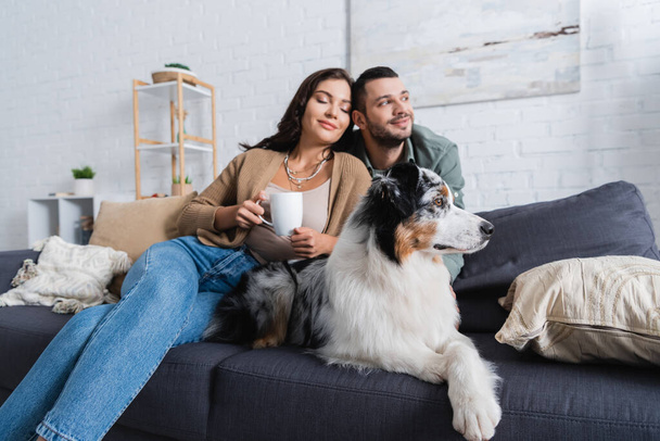 smiling young woman holding cup near bearded boyfriend and australian shepherd dog  - Photo, Image