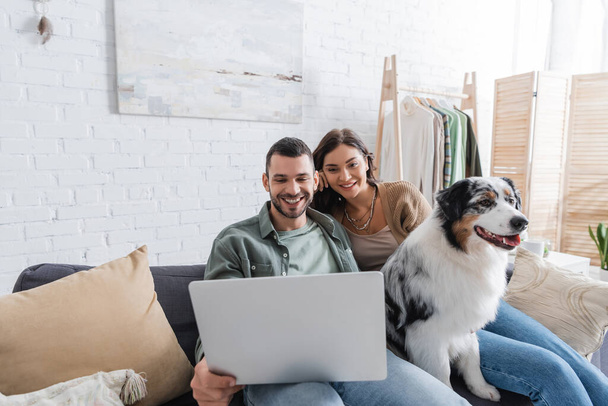 glückliches junges Paar schaut Film auf Laptop in der Nähe von australischem Schäferhund - Foto, Bild