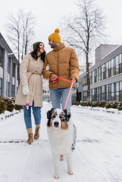 full length of blurred and happy couple in winter jackets and hats strolling with australian shepherd dog - Photo, Image