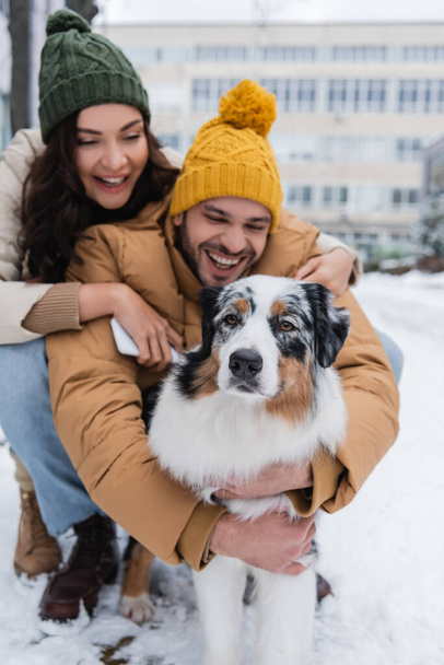 usmívající se žena v pleteném klobouku drží smartphone a objímající přítel v blízkosti australského ovčáka psa v zimě  - Fotografie, Obrázek