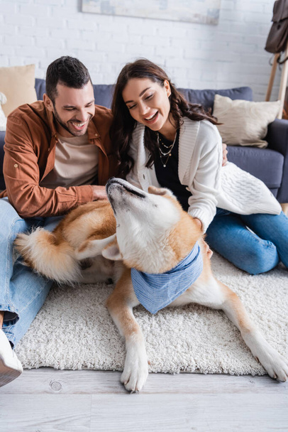 jovem e sorridente casal abraçando akita inu cão na sala de estar moderna  - Foto, Imagem