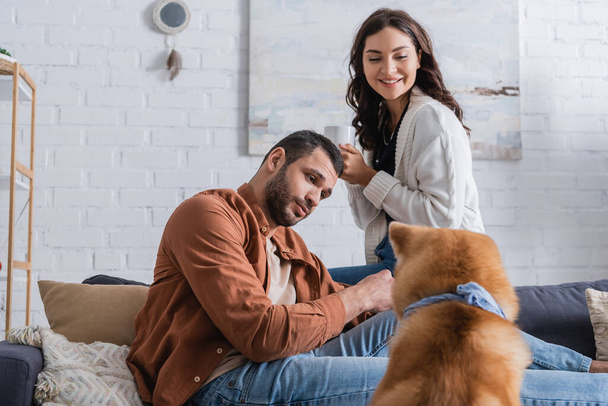 bearded man looking at akita inu dog near smiling girlfriend with cup of coffee  - Photo, Image