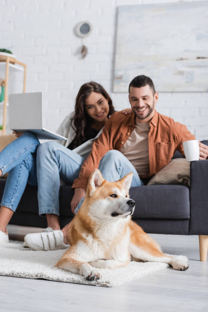hymyilevä sumea pari kannettavan tietokoneen ja kuppi istuu sohvalla ja katselee akita inu koira - Valokuva, kuva