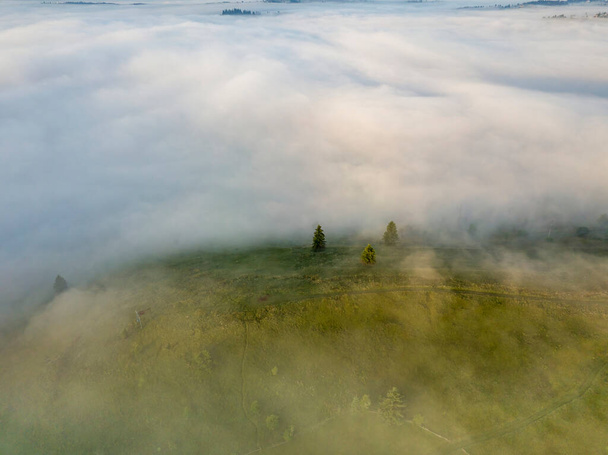 Green mountains of the Ukrainian Carpathians in the morning mist. Aerial drone view. - Фото, изображение