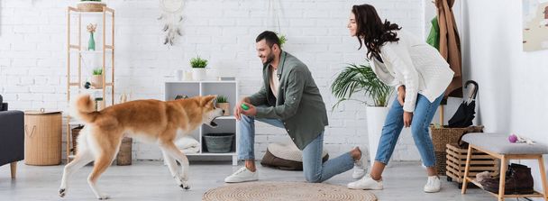 bearded man holding rubber toy and playing with akita inu dog near happy girlfriend, banner  - Photo, Image