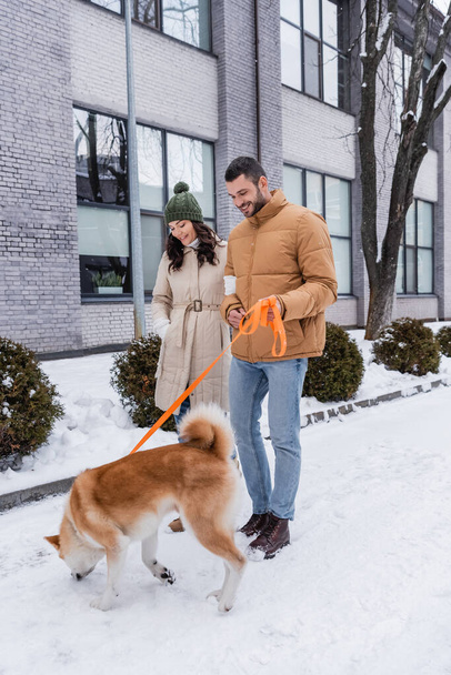 veselý muž drží vodítko při chůzi s přítelkyní a akita pes - Fotografie, Obrázek