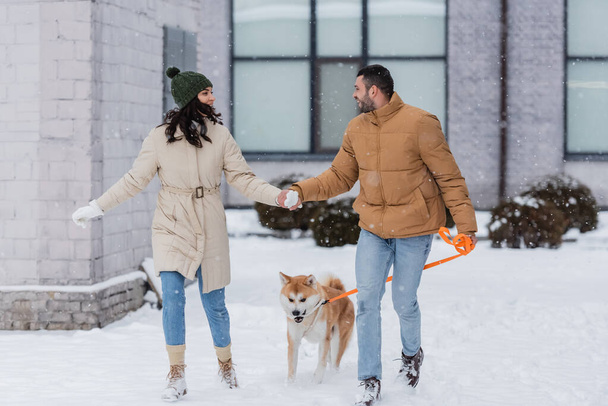 homme heureux tenant la main avec sa petite amie et marchant avec un chien akita inu - Photo, image