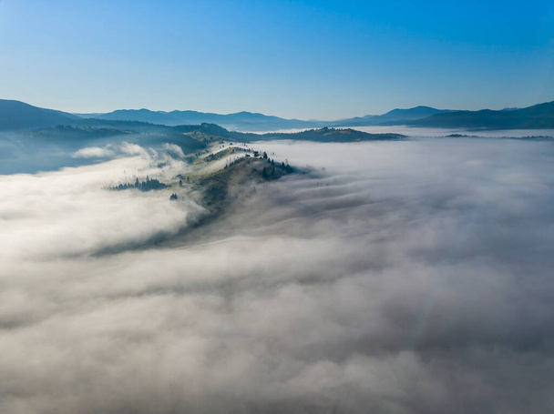 Morning fog in the Ukrainian Carpathians. Aerial drone view. - Fotoğraf, Görsel