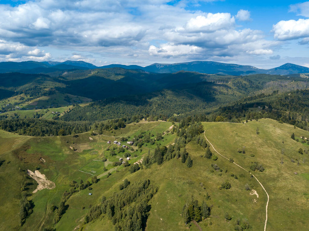 Green mountains of Ukrainian Carpathians in summer. Coniferous trees on the slopes. Aerial drone view. - Fotografie, Obrázek