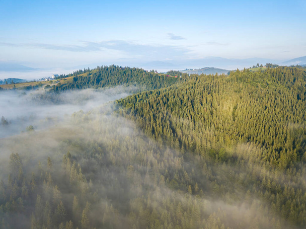 Nebel hüllt den Bergwald ein. Die Strahlen der aufgehenden Sonne brechen durch den Nebel. Drohnenblick aus der Luft. - Foto, Bild