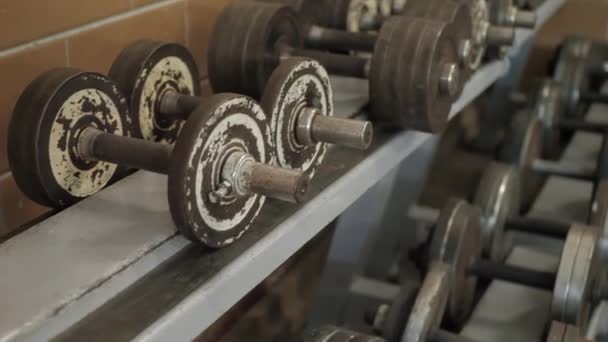 Row of dumbbells - Footage, Video