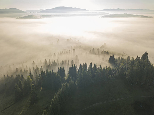 Промені ранкового сонця через туман у горах. Повітряний вигляд безпілотника
. - Фото, зображення