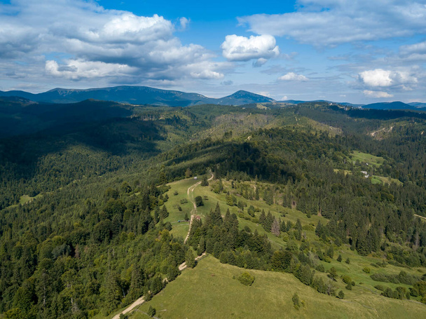 Green mountains of Ukrainian Carpathians in summer. Coniferous trees on the slopes. Aerial drone view. - Photo, image