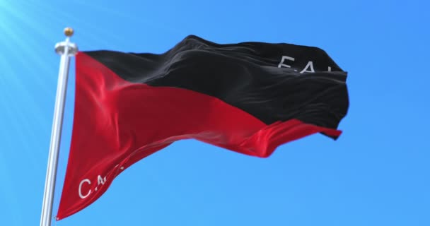 CNT FAI Flag, Nationaal Verbond van Arbeid. Lijn - Video