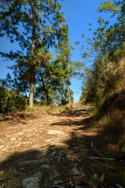 The photo shows a trail in the jungle between the mountains. The trail is pedestrian, but it also serves for the movement of horses. During tropical showers, it serves as a drain for water. - Foto, immagini