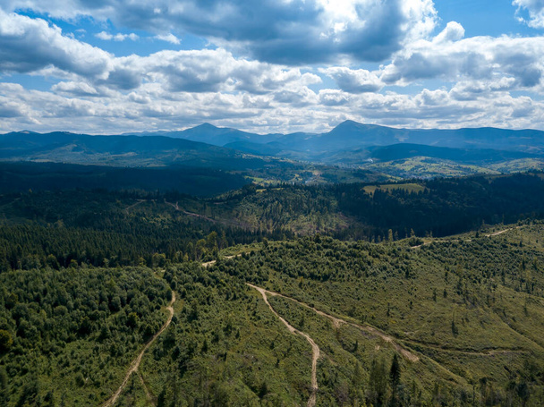 Green mountains of Ukrainian Carpathians in summer. Coniferous trees on the slopes. Aerial drone view. - Фото, зображення