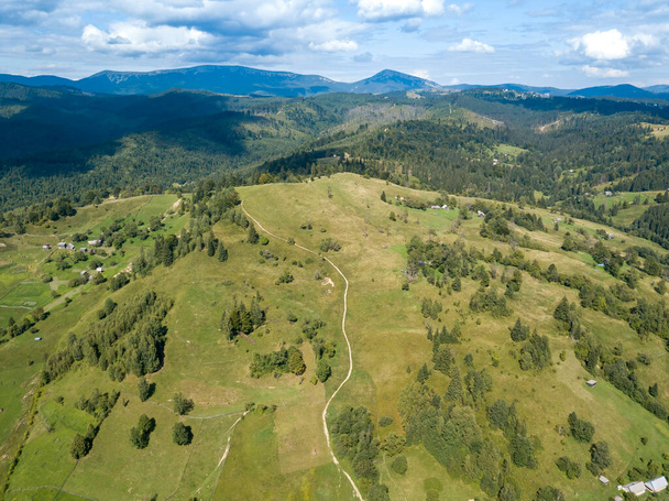 Green mountains of Ukrainian Carpathians in summer. Coniferous trees on the slopes. Aerial drone view. - Foto, immagini