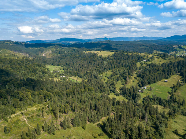 Зелені гори Українських Карпат влітку. Скручені дерева на схилах. Повітряний дрон. - Фото, зображення