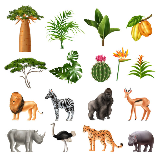 Icone realistiche della natura africana - Vettoriali, immagini