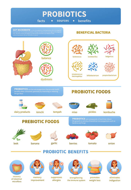 Probiotyki Ikony kreskówek Infografika - Wektor, obraz