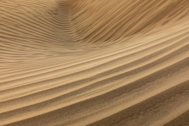 Guerro Negro, Mulege, Baja California Sur, Mexique. Dunes de sable au coucher du soleil le long de la côte ouest de la péninsule de Baja. - Photo, image