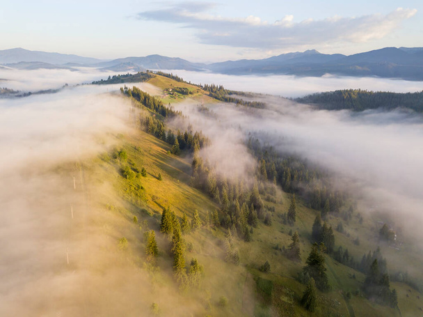 Nebel hüllt den Bergwald ein. Die Strahlen der aufgehenden Sonne brechen durch den Nebel. Drohnenblick aus der Luft. - Foto, Bild