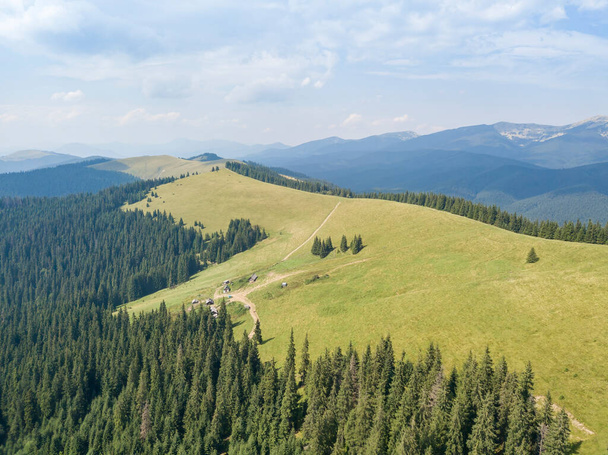 Green mountains of Ukrainian Carpathians in summer. Sunny day, rare clouds. Aerial drone view. - Foto, Imagem